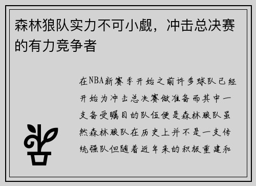 森林狼队实力不可小觑，冲击总决赛的有力竞争者