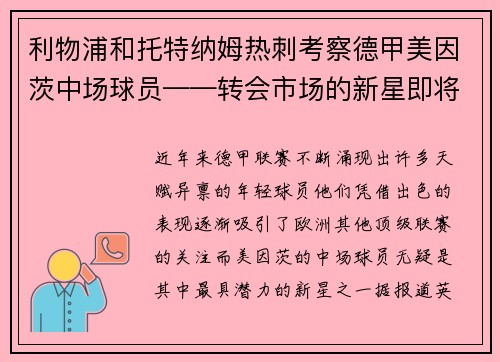 利物浦和托特纳姆热刺考察德甲美因茨中场球员——转会市场的新星即将登场？