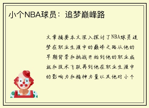 小个NBA球员：追梦巅峰路