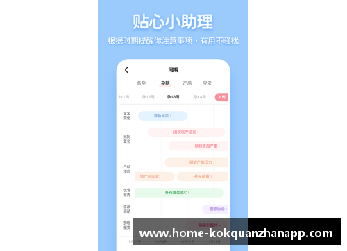 kok全站app官方app下载瑞典-力克土耳其，欧洲杯小组战中获得重要胜利 - 副本